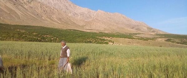 عکس روستای آزادلو