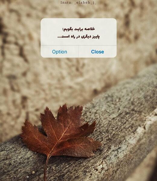 عکس پروف دخترونه پاییزی