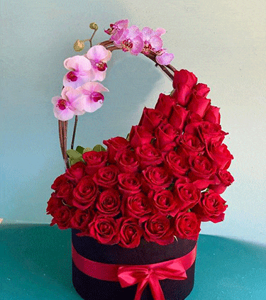 عکس گل رز جعبه