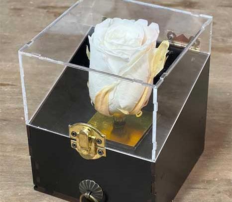 عکس گل رز جعبه