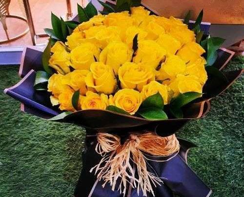 عکس گل رز زرد هلندی
