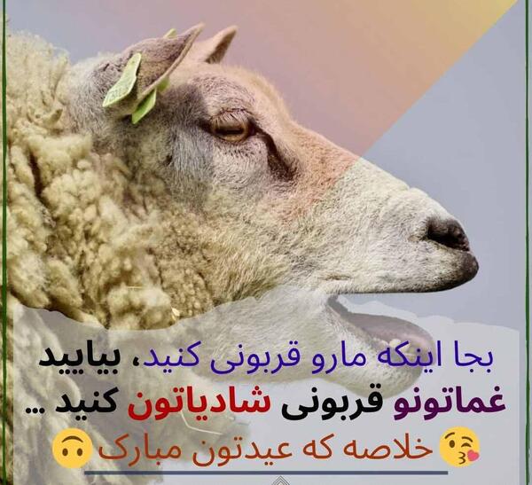 عکس عید مبارک قربان