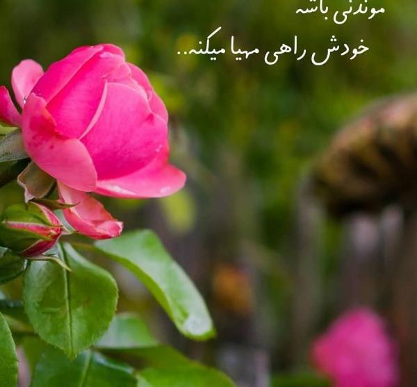 عکس پروفایل زیبا برای شاد