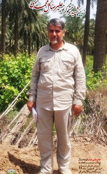 عکس شهید گل محمدی