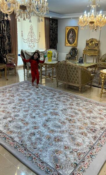 عکس گیره روفرشی