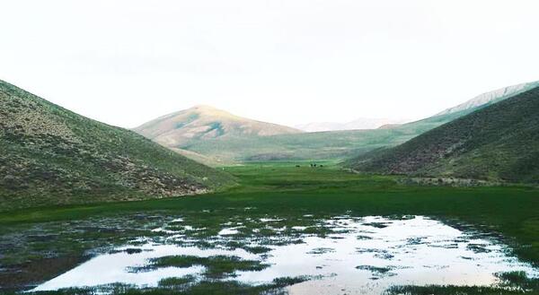 عکس دریا امل