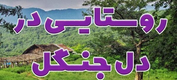 عکس دریا امل