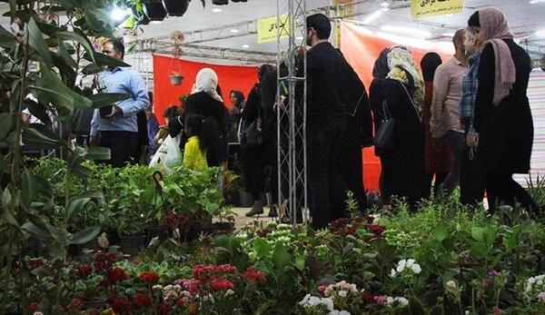 عکس نمایشگاه گل و گیاه بندرعباس