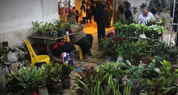 عکس نمایشگاه گل و گیاه بندرعباس