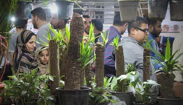 عکس نمایشگاه گل و گیاه بندرعباس