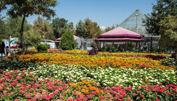عکس نمایشگاه گل و گیاه بندرعباس