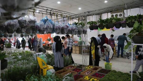 عکس نمایشگاه گل و گیاه بندرعباس