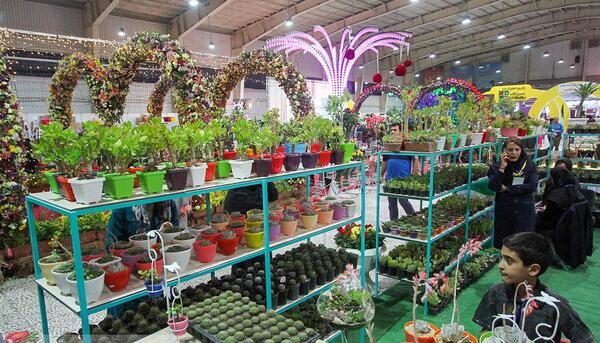 عکس نمایشگاه گل و گیاه بندرعباس
