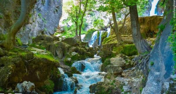 عکس تصویر طبیعت زیبای تابستان
