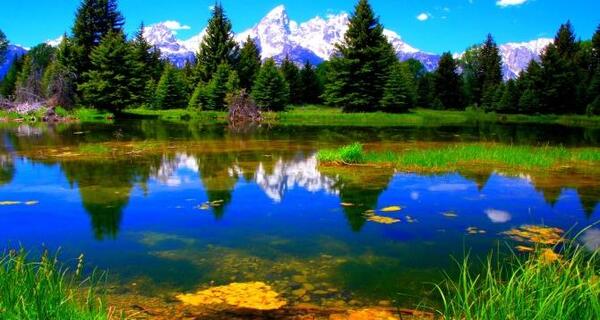 عکس تصویر طبیعت زیبای تابستان