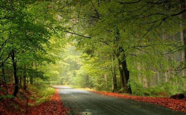 عکس تصویر طبیعت زیبای تابستان