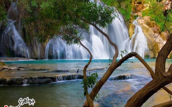 عکس تصویر طبیعت زیبای تابستان
