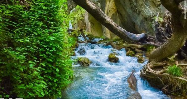 عکس تصویر طبیعت زیبای تابستان