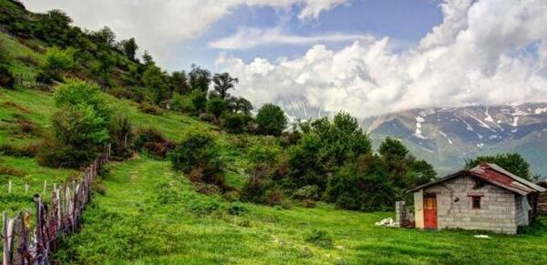 عکس تصویر طبیعت زیبای تابستان