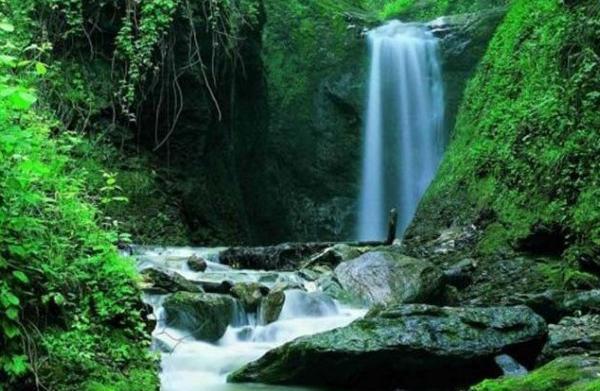 عکس تصویر طبیعت زیبای تابستان