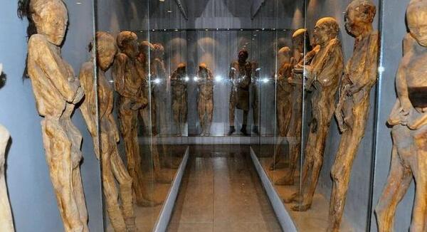 عکس دلار مصر