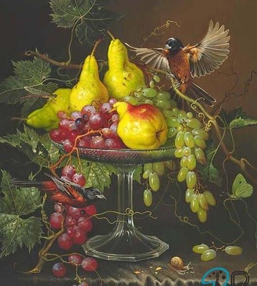 عکس ظرف میوه برای نقاشی