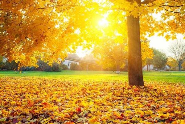 عکس طبیعت غروب پاییز