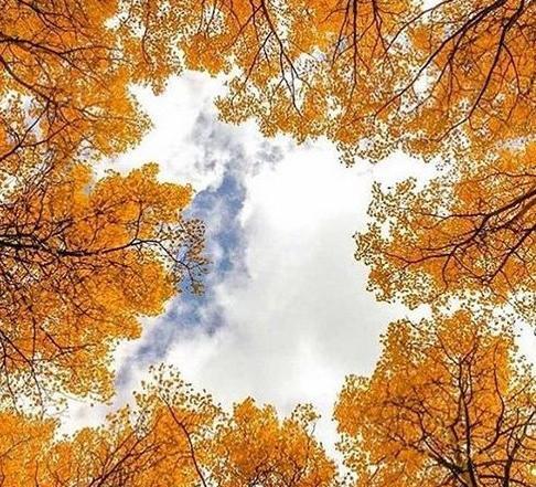 عکس طبیعت غروب پاییز