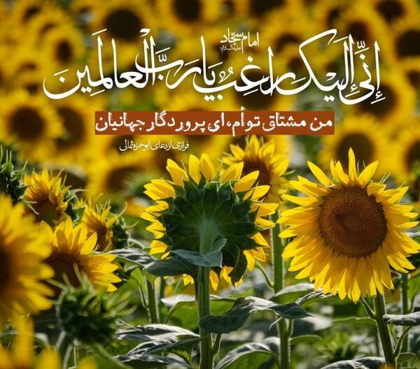 عکس ابوحمزه ثمالی