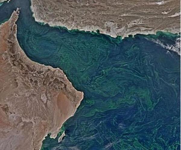 عکس دریای عمان