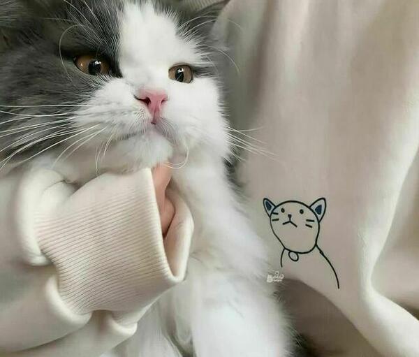 عکس لیدی گاگا با تهیونگ