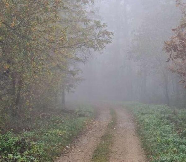 عکسهای غروب جاده