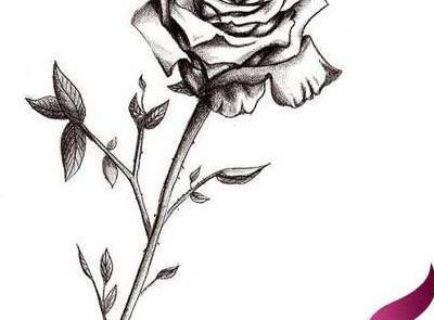 عکس گل رز برای تاتو