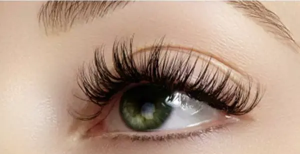 عکس بن مژه ظریف