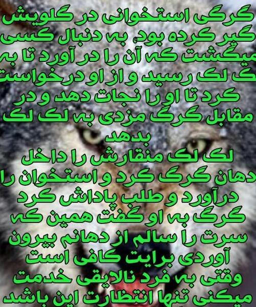 عکس نوزاد حین زایمان
