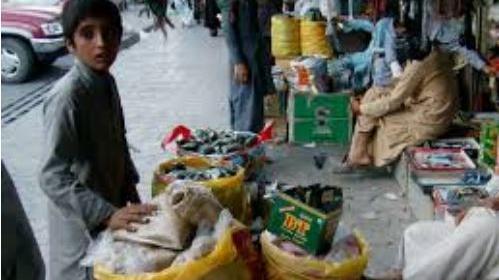 عکس قرص ملوان زبل