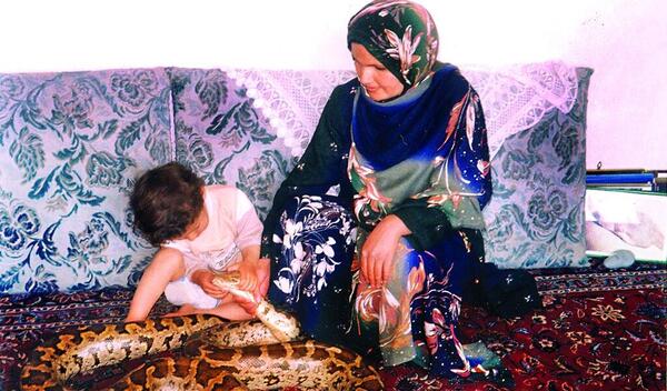 عکس مار وحشی