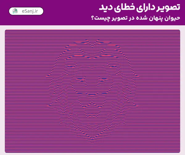 عکس هایی که خطای دید دارند