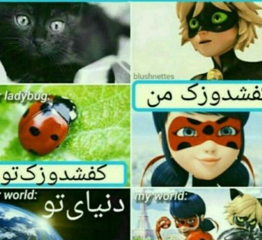 عکس درباره میراکلس