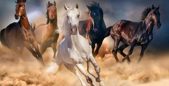 عکس هواپیما نقاش