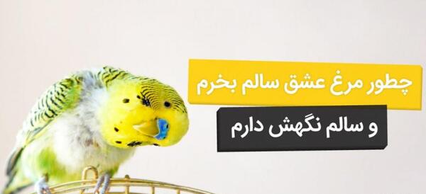 عکس جلیقه ها