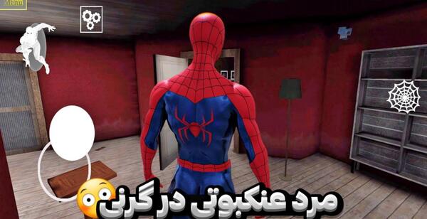 عکس عنکبوت گرنی