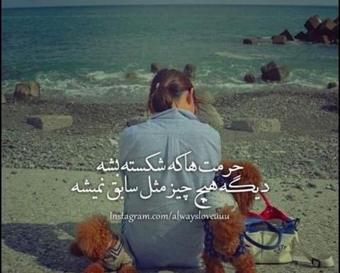 عکس دخترونه شیک در پیام رسان سروش