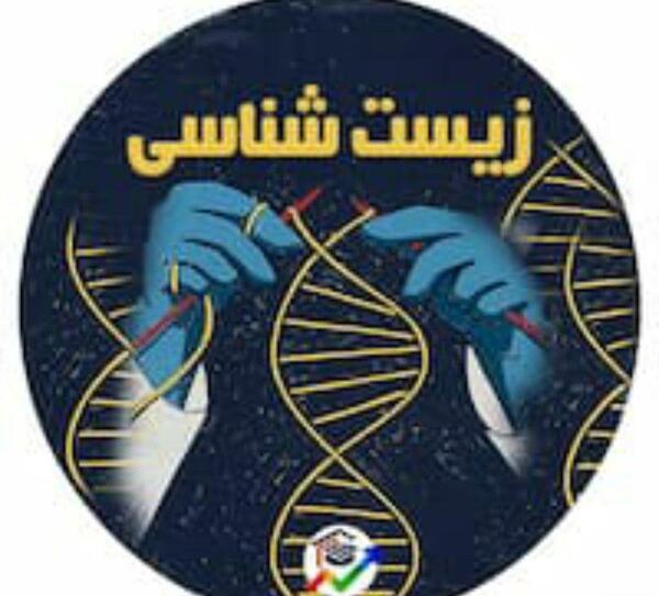 عکس بافت پیوندی سست