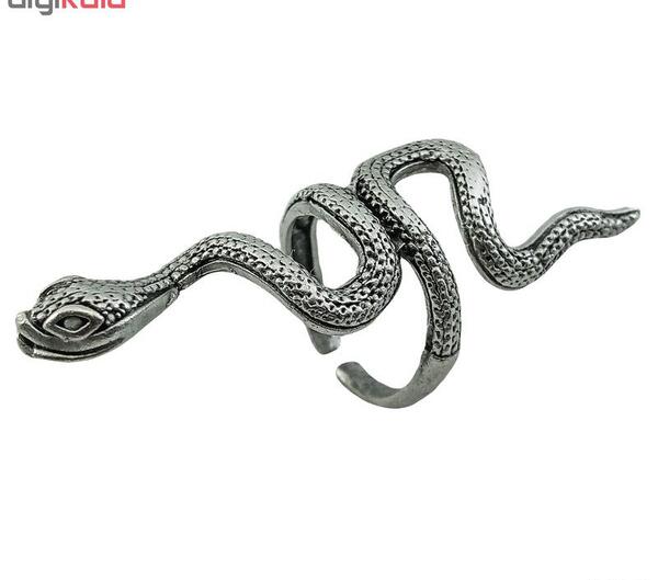عکس انگشتر مار