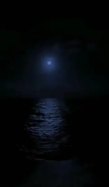 عکس دارک شب