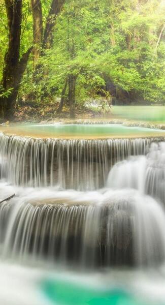 عکس پس زمینه طبیعت بهاری