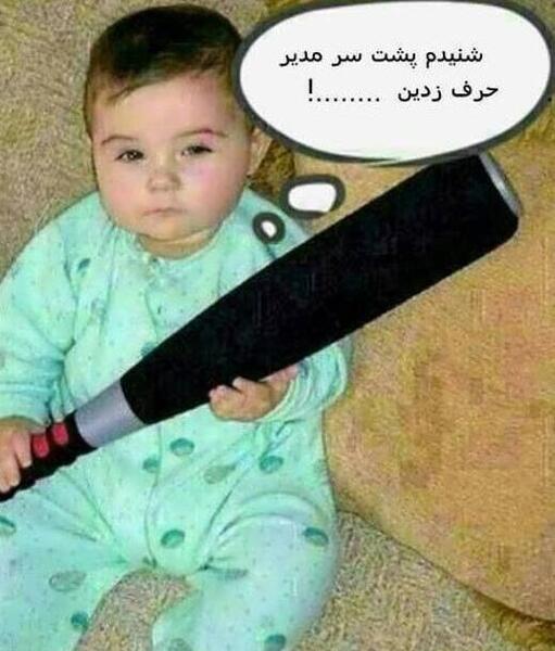 عکس چهره طوطی
