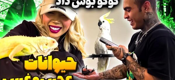 عکس داداش آرزو