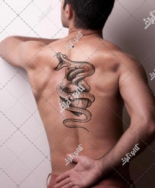عکس تاتو دخترانه مار